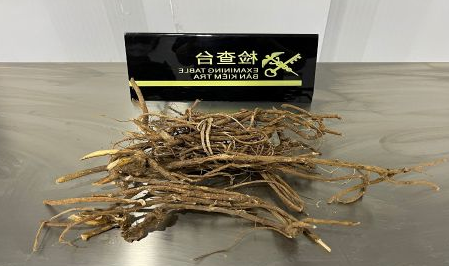 「濒危植物进出口」这种长得很像“树根”的,其实是野生濒危植物(图1)